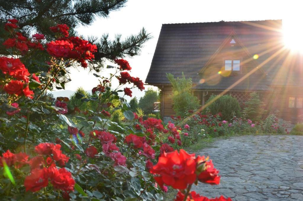 Goralska Ostoja Villa Pcim Ngoại thất bức ảnh